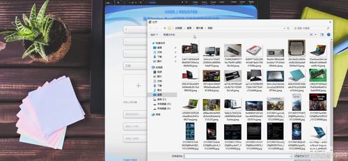 基于Django与Vue的校园电子商品销售系统设计与实现